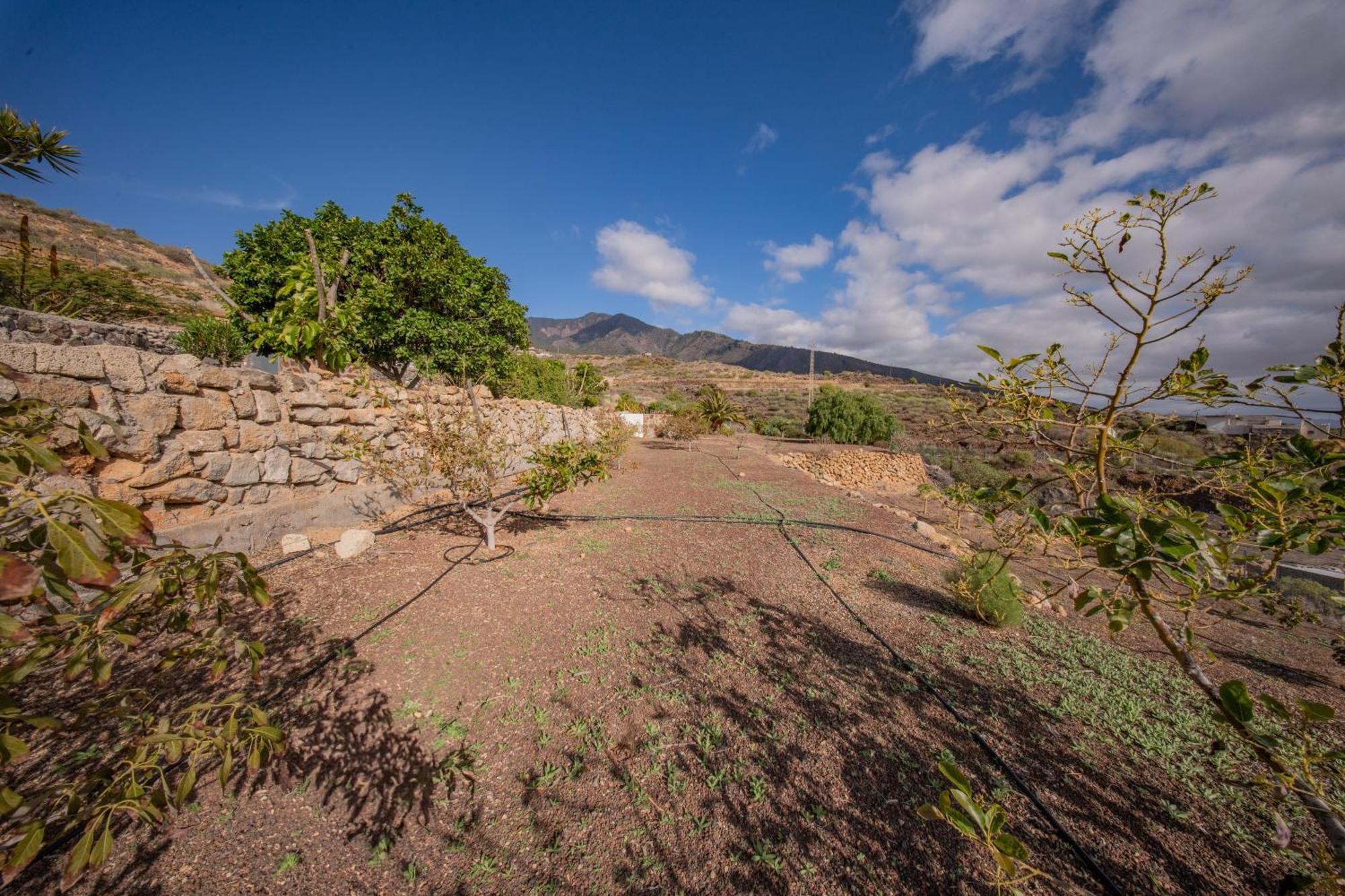Casa Rural Buda Terra Santa Cruz de Tenerife Exterior photo